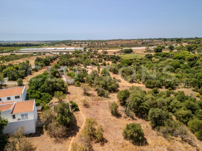 Terreno para Venda em Almancil Foto 11