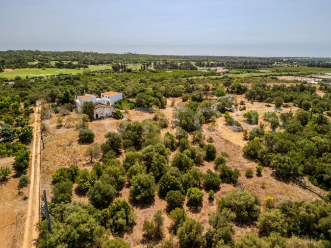 Terreno para Venda em Almancil Foto 21