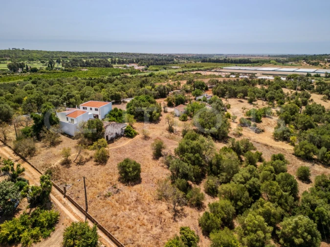 Terreno para Venda em Almancil Foto 23