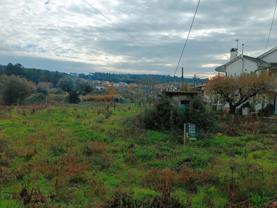 Terreno para Venda em Santar e Moreira Foto 2