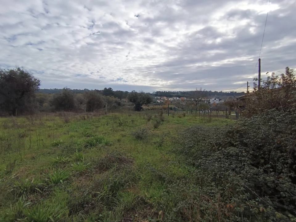Terreno para Venda em Santar e Moreira Foto 10