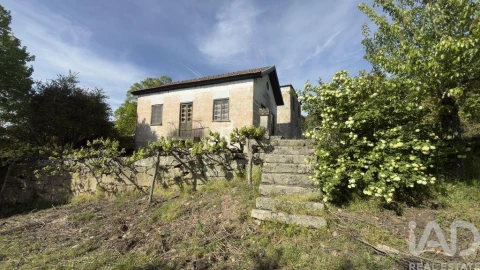 Quinta T4 para Venda em Longa