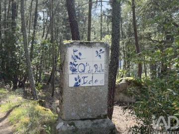 Quinta T4 para Venda em Longa