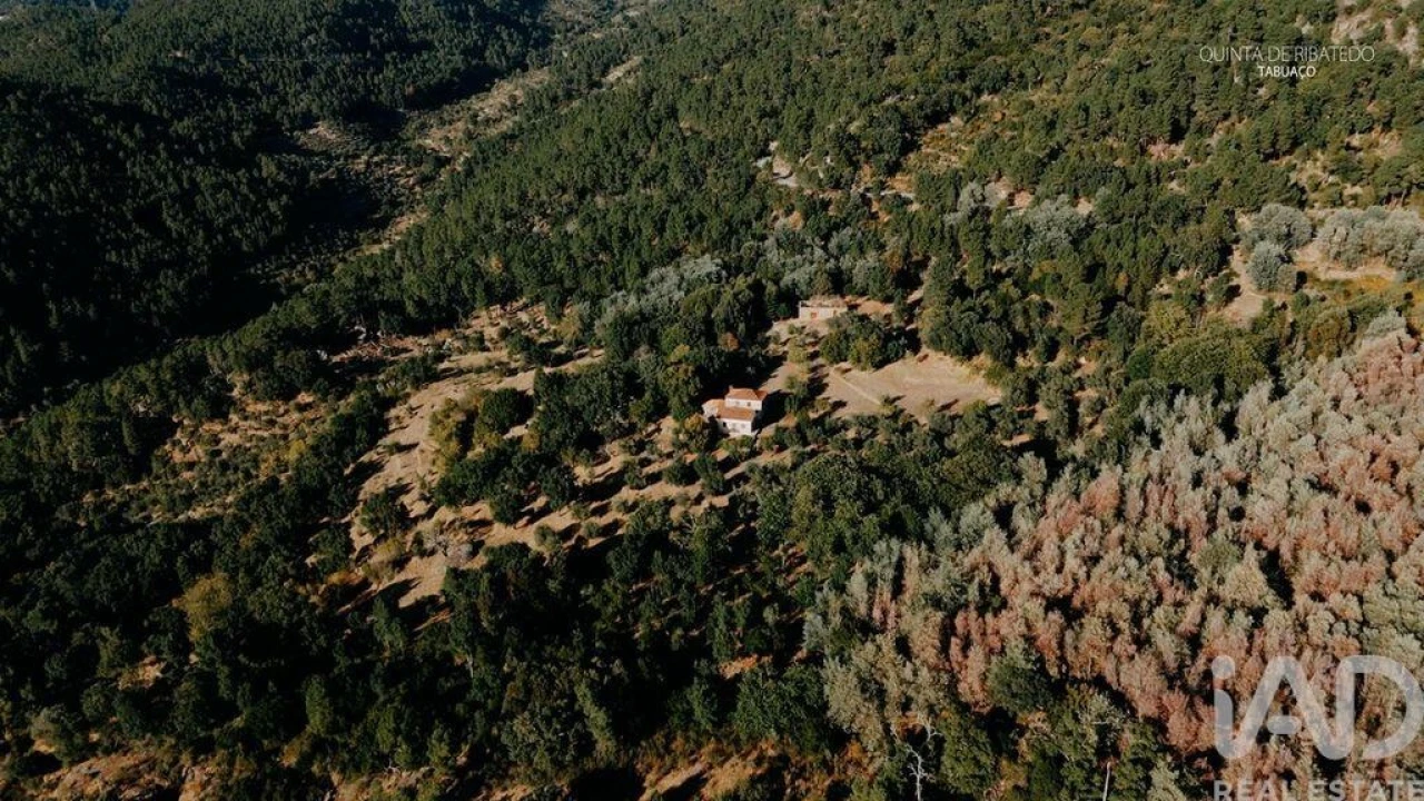 Quinta T4 para Venda em Longa Foto 27