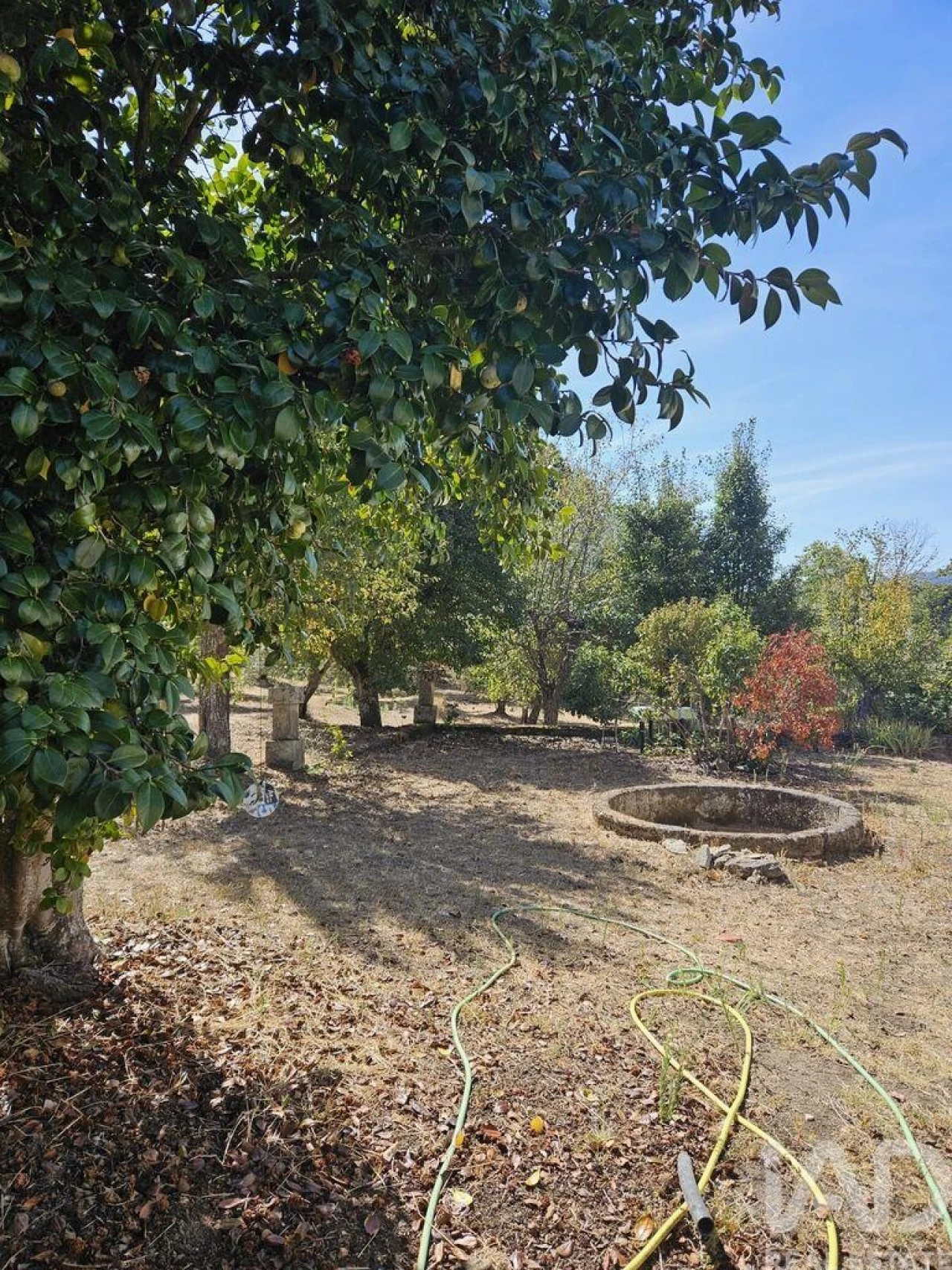 Quinta T4 para Venda em Longa Foto 17