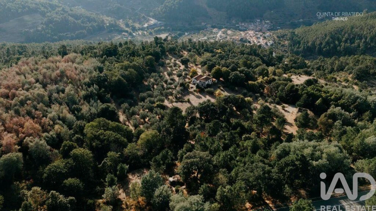 Quinta T4 para Venda em Longa Foto 19