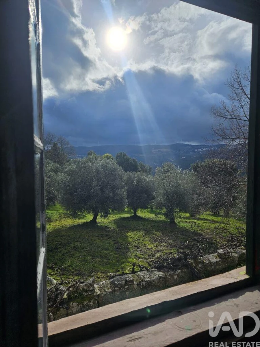 Quinta T4 para Venda em Longa Foto 40