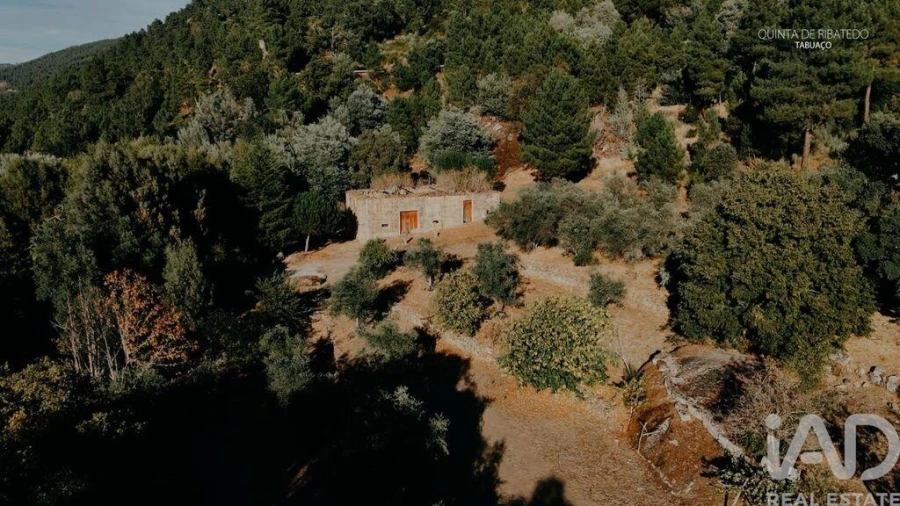 Quinta T4 para Venda em Longa Foto 11