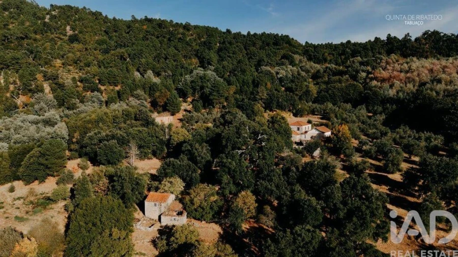 Quinta T4 para Venda em Longa Foto 17