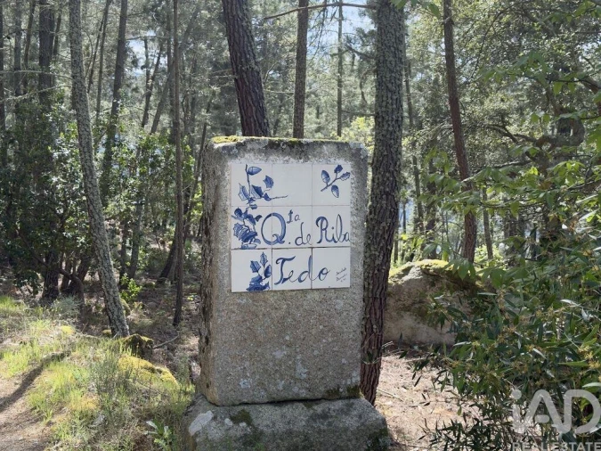 Quinta T4 para Venda em Longa Foto 5