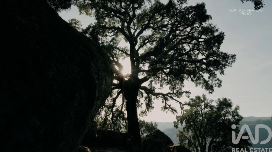 Quinta T4 para Venda em Longa Foto 40