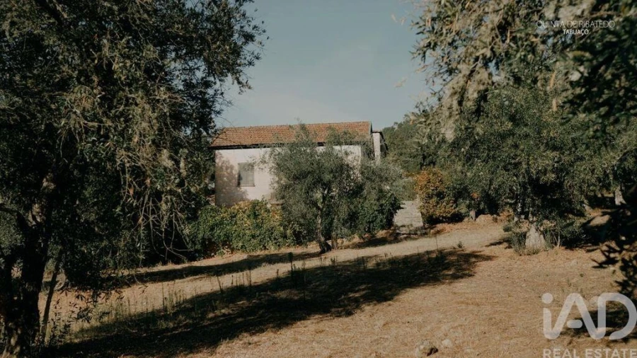 Quinta T4 para Venda em Longa Foto 8