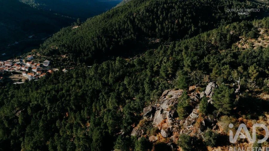 Quinta T4 para Venda em Longa Foto 18