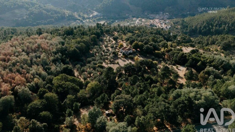 Quinta T4 para Venda em Longa Foto 19