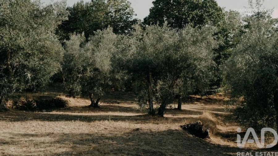Quinta T4 para Venda em Longa Foto 20