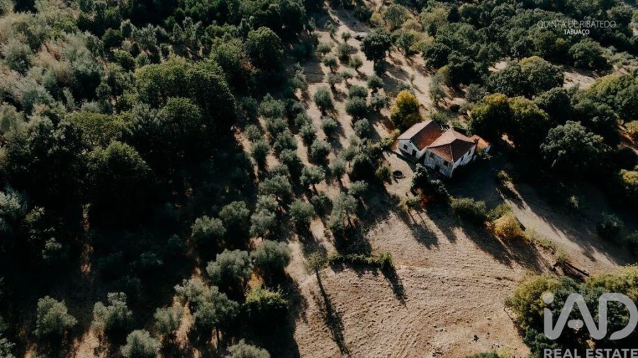 Quinta T4 para Venda em Longa Foto 13