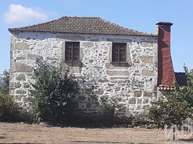 Quinta T4 para Venda em Longa Foto 4