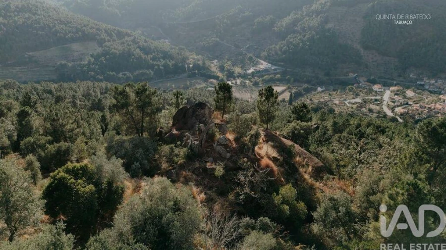 Quinta T4 para Venda em Longa Foto 15