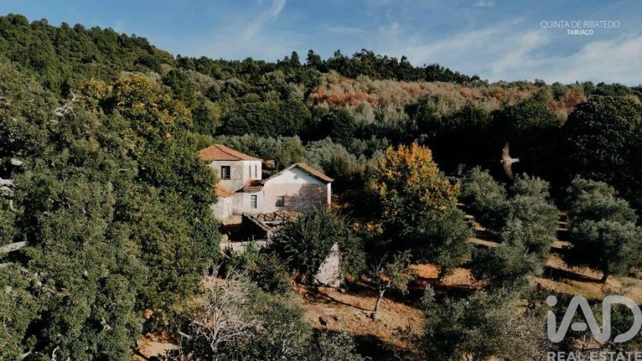 Quinta T4 para Venda em Longa Foto 6