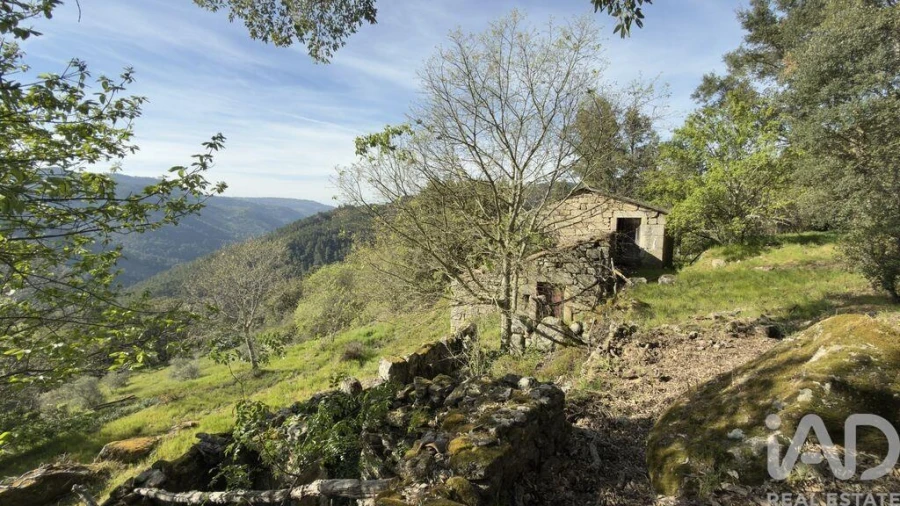 Quinta T4 para Venda em Longa Foto 13