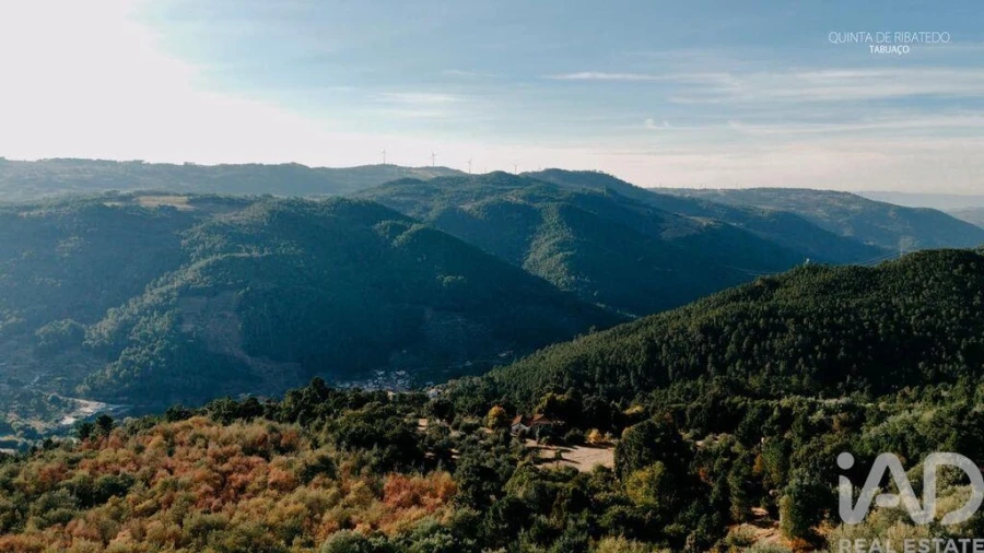 Quinta T4 para Venda em Longa Foto 24