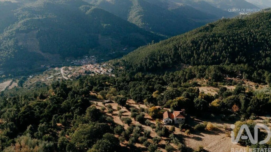 Quinta T4 para Venda em Longa Foto 25