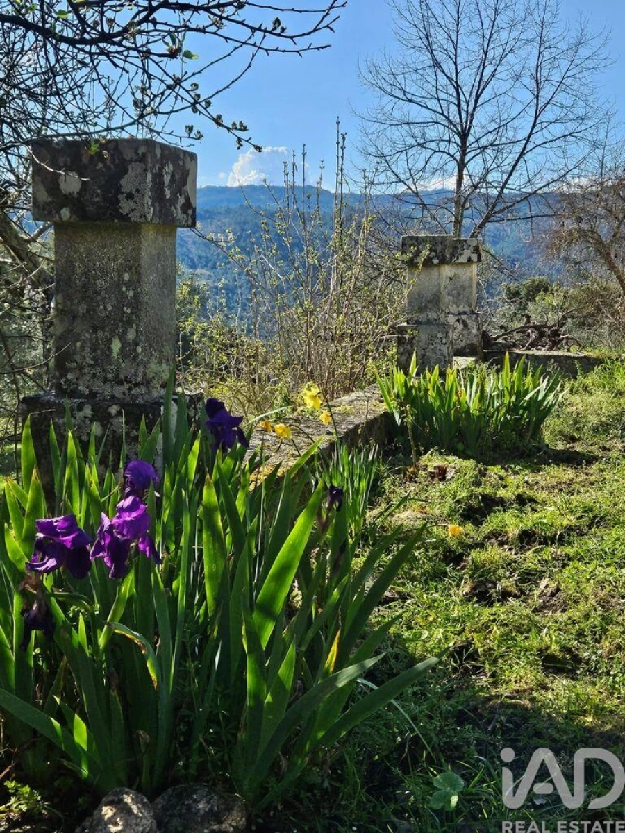 Quinta T4 para Venda em Longa Foto 33