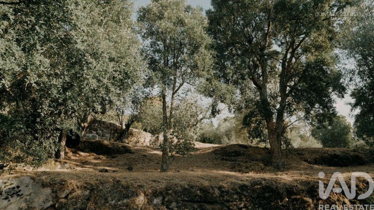 Quinta T4 para Venda em Longa Foto 23