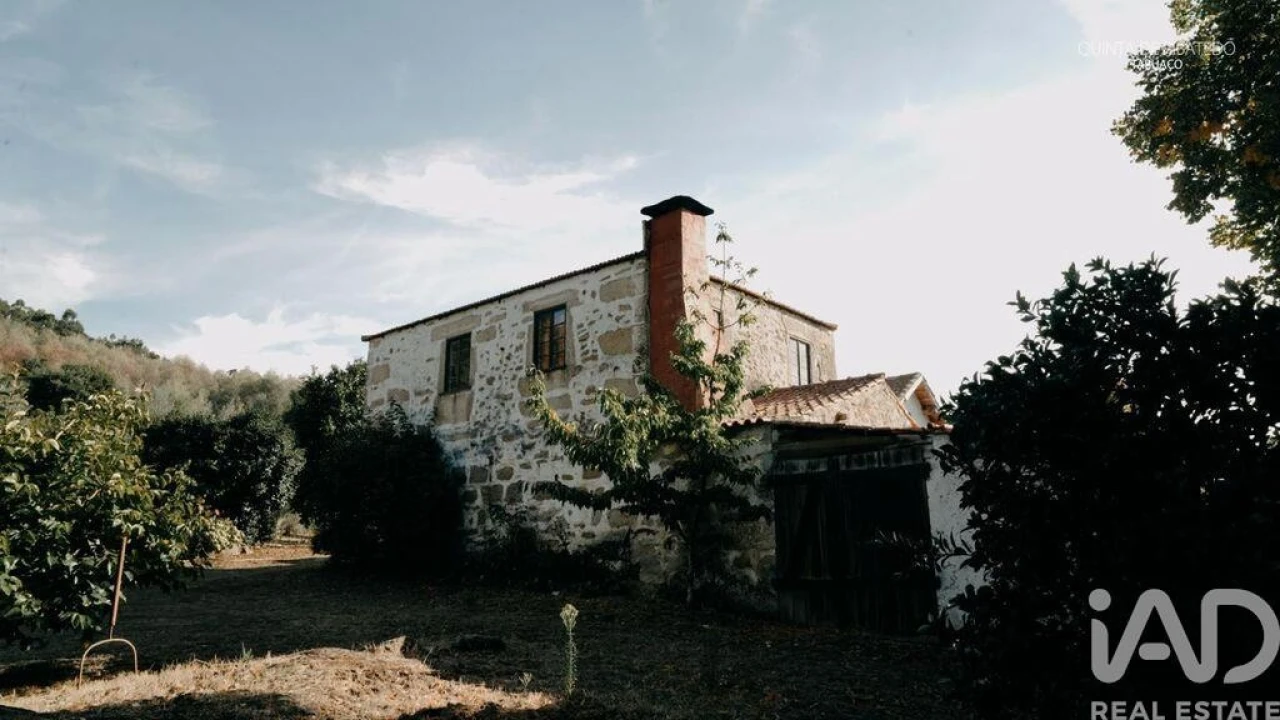 Quinta T4 para Venda em Longa Foto 3