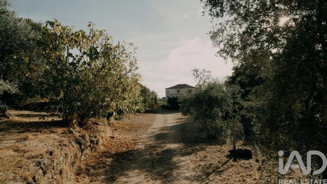 Quinta T4 para Venda em Longa Foto 16