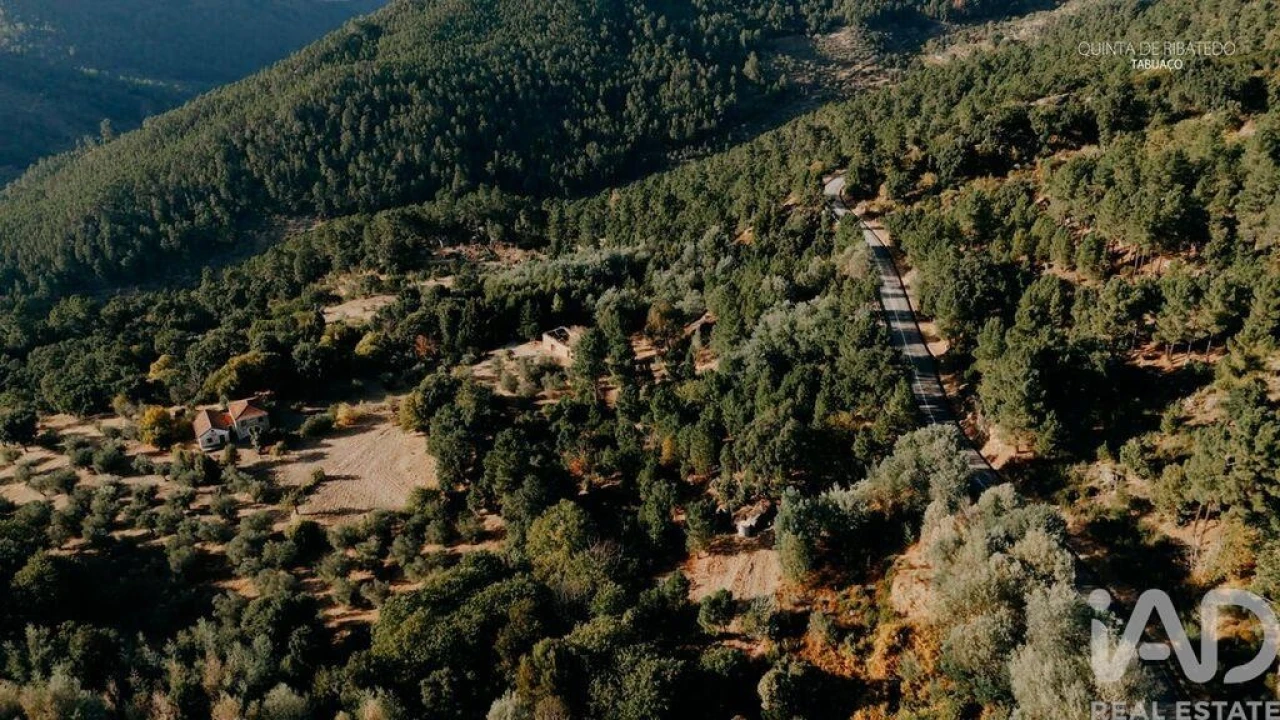 Quinta T4 para Venda em Longa Foto 12