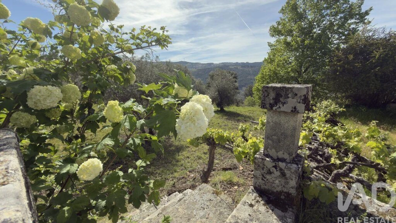 Quinta T4 para Venda em Longa Foto 8