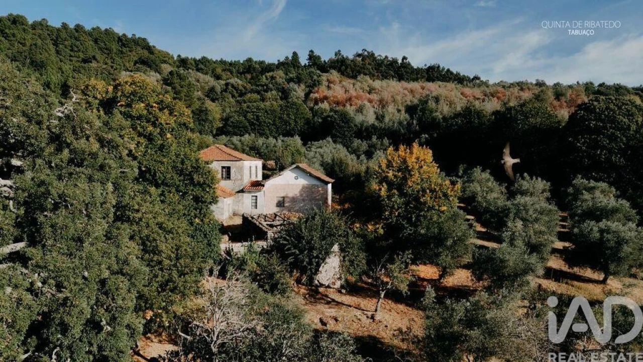 Quinta T4 para Venda em Longa Foto 6