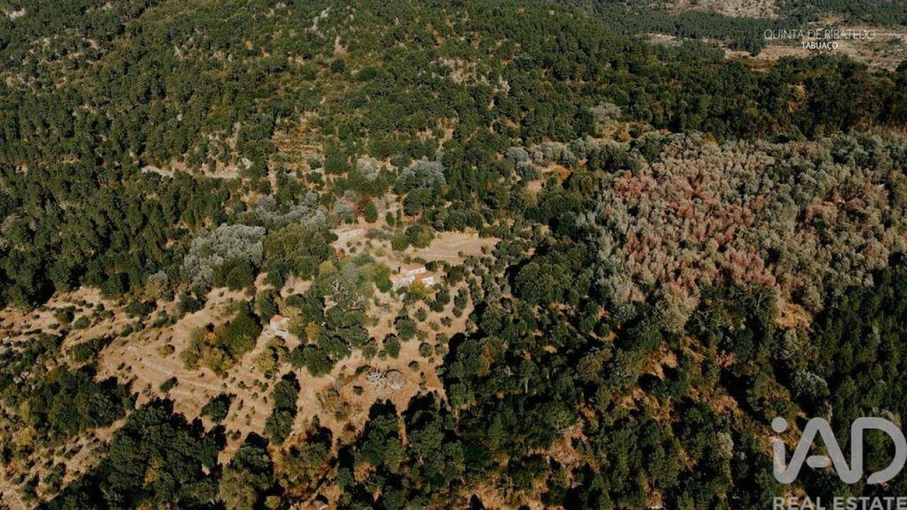 Quinta T4 para Venda em Longa Foto 26
