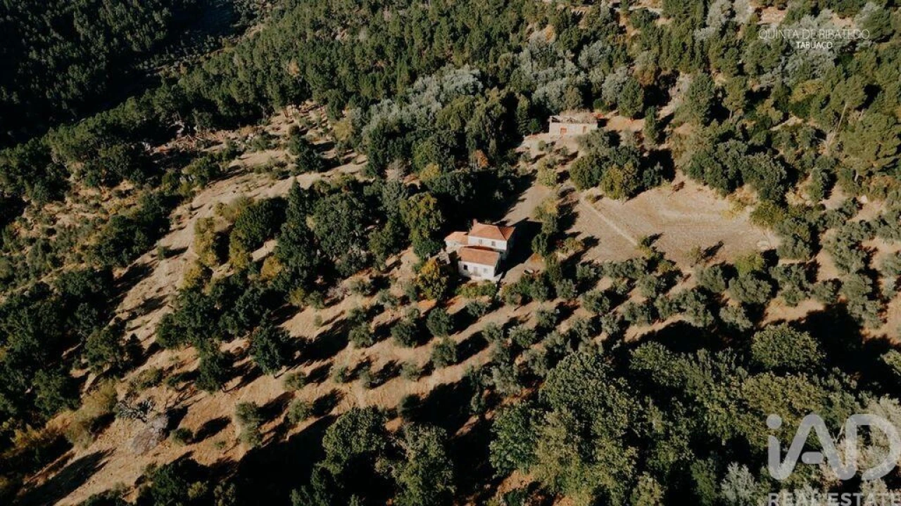 Quinta T4 para Venda em Longa Foto 29