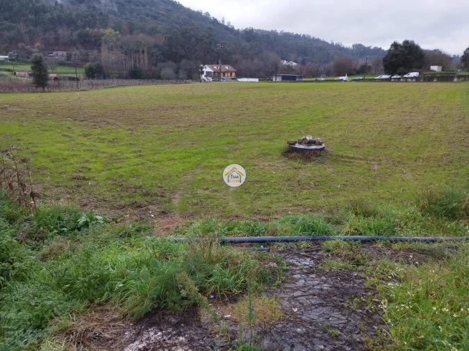 Terreno para Venda em Areias de Vilar e Encourados Foto 6