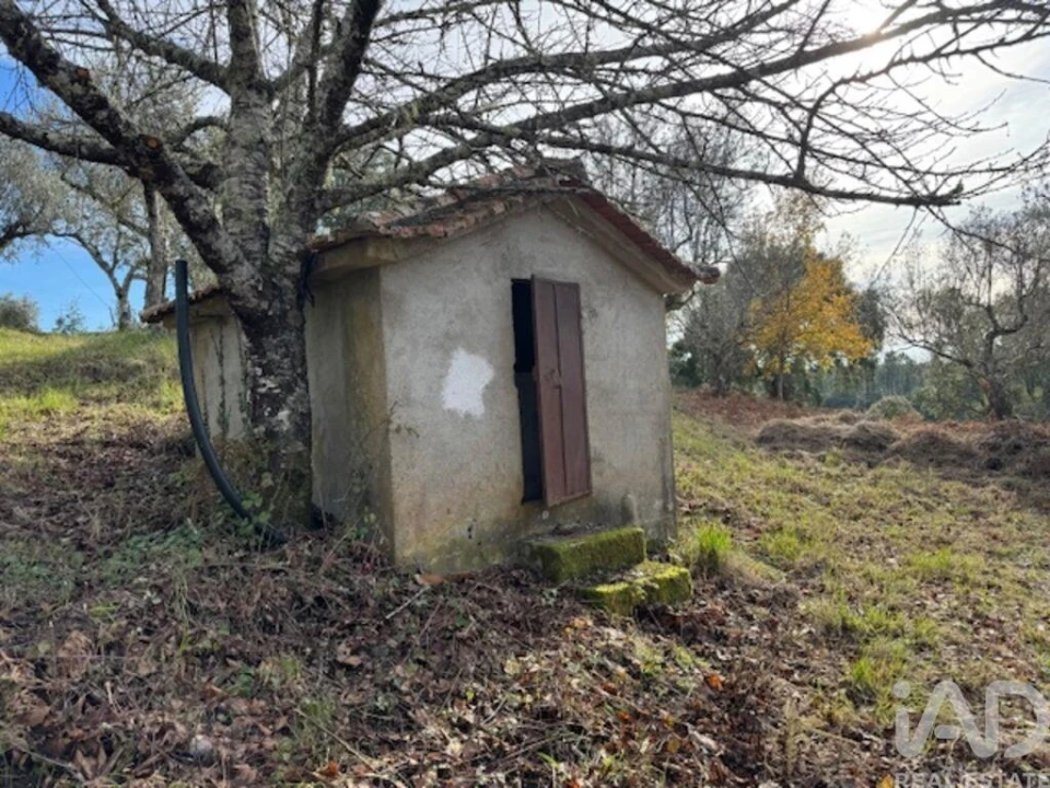 Moradia T2 para Venda em Pedrogão Pequeno Foto 4