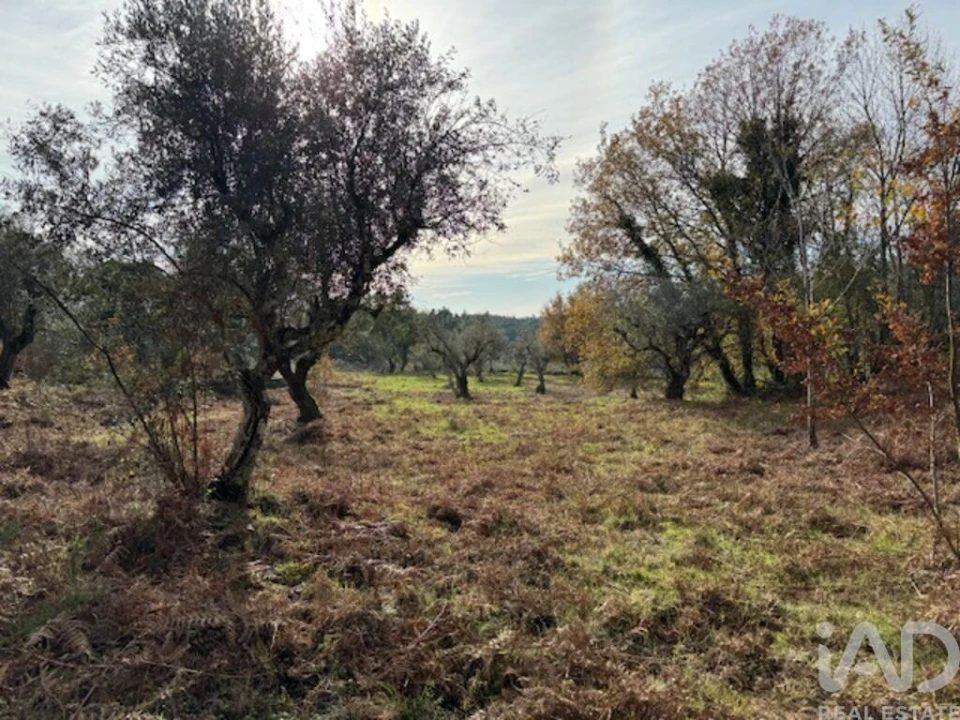 Moradia T2 para Venda em Pedrogão Pequeno Foto 38