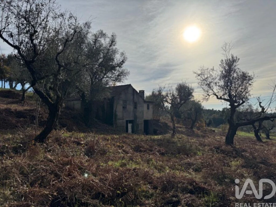 Moradia T2 para Venda em Pedrogão Pequeno Foto 25