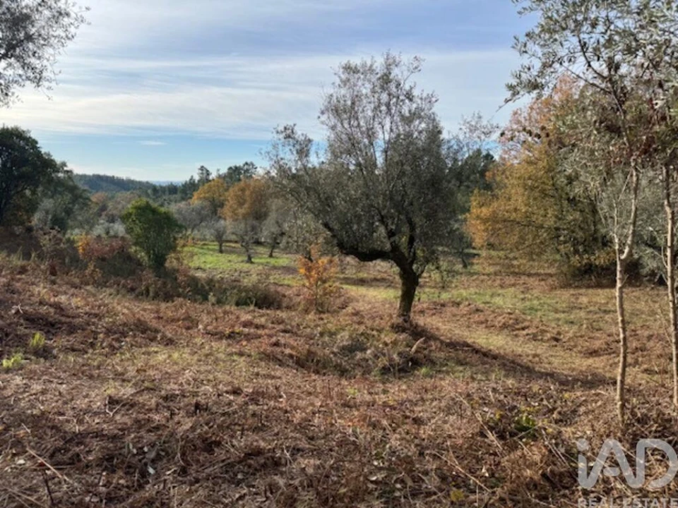 Moradia T2 para Venda em Pedrogão Pequeno Foto 32