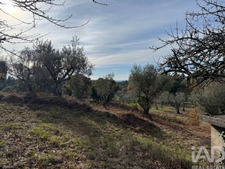 Moradia T2 para Venda em Pedrogão Pequeno Foto 30