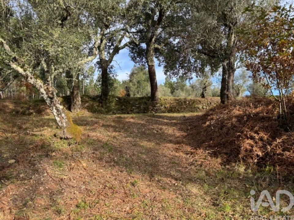 Moradia T2 para Venda em Pedrogão Pequeno Foto 33