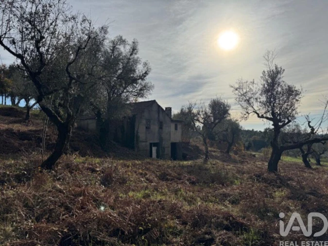 Moradia T2 para Venda em Pedrogão Pequeno Foto 25