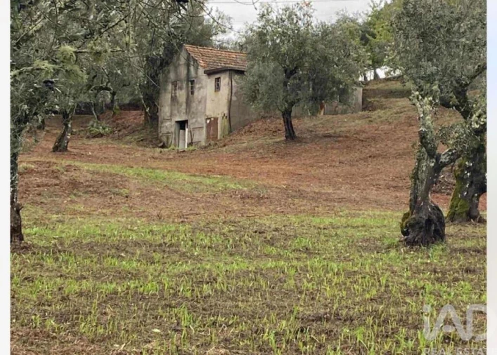 Moradia T2 para Venda em Pedrogão Pequeno Foto 1