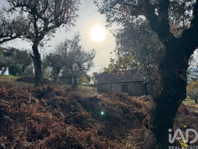 Moradia T2 para Venda em Pedrogão Pequeno Foto 23