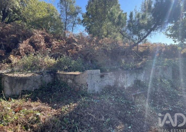 Moradia T2 para Venda em Pedrogão Pequeno Foto 29