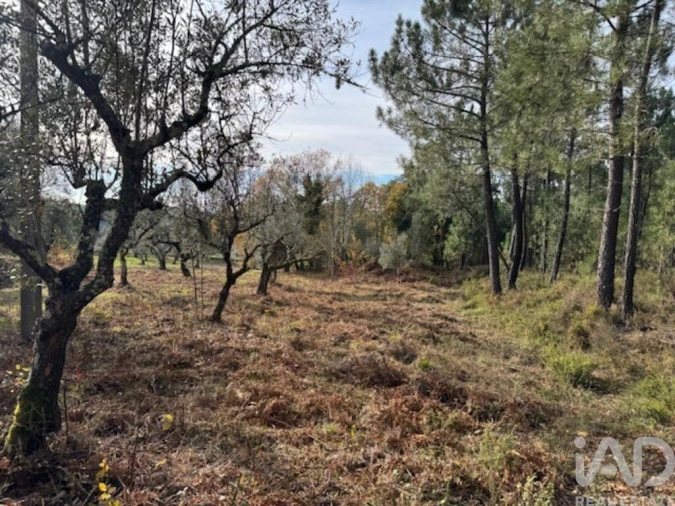 Moradia T2 para Venda em Pedrogão Pequeno Foto 34