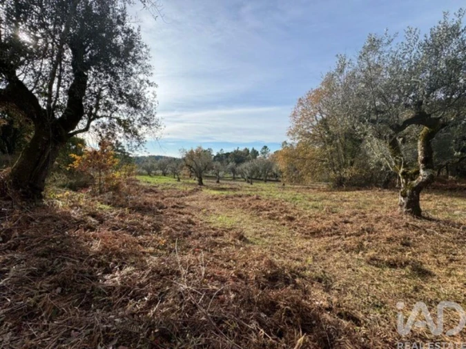 Moradia T2 para Venda em Pedrogão Pequeno Foto 27