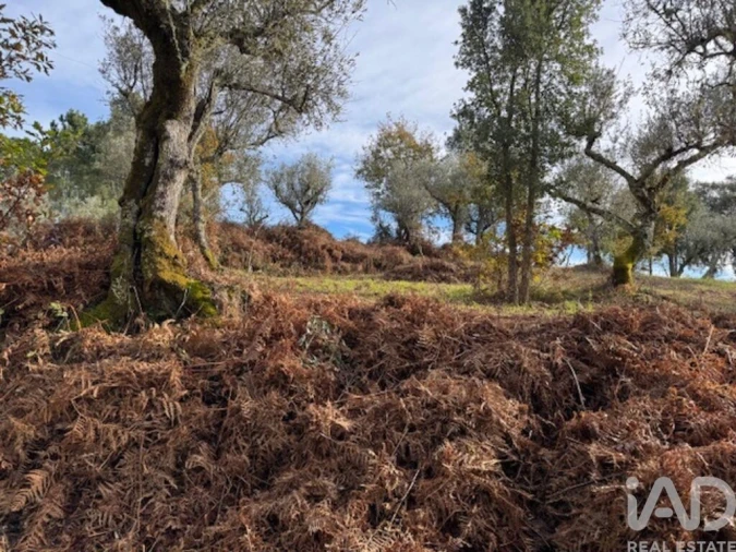 Moradia T2 para Venda em Pedrogão Pequeno Foto 35