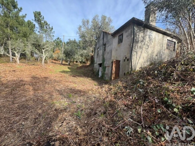 Moradia T2 para Venda em Pedrogão Pequeno Foto 21